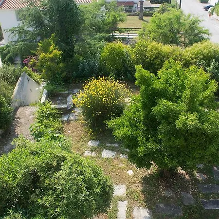 Possidi Aigaiopelagitika 2-floor House Daire Kalandra